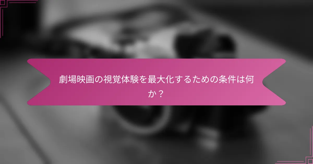 劇場映画の視覚体験を最大化するための条件は何か?